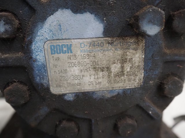 Bock - afbeelding 8 van  9