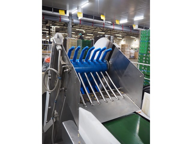 Bodijn - afbeelding 13 van  17