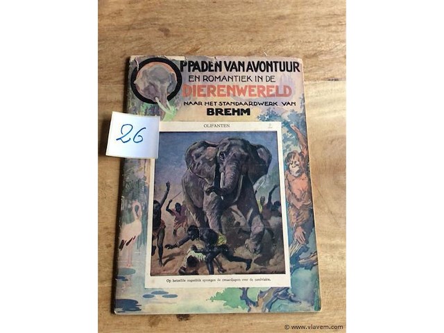 Boek : avontuur & romantiek in de dierenwereld - afbeelding 1 van  4