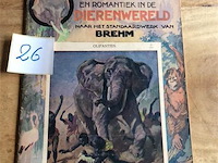 Boek : avontuur & romantiek in de dierenwereld