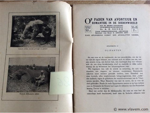 Boek : avontuur & romantiek in de dierenwereld - afbeelding 2 van  4