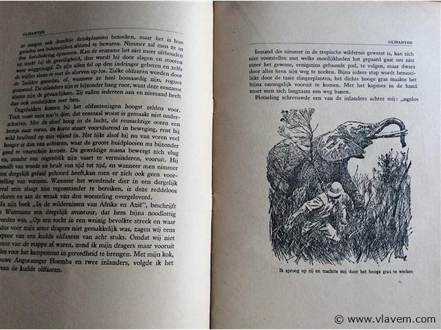 Boek : avontuur & romantiek in de dierenwereld - afbeelding 3 van  4