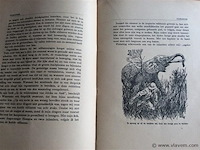 Boek : avontuur & romantiek in de dierenwereld - afbeelding 3 van  4