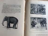 Boek : avontuur & romantiek in de dierenwereld - afbeelding 4 van  4