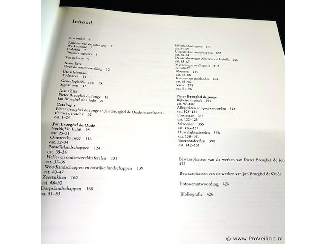 Boek breughel - afbeelding 3 van  5