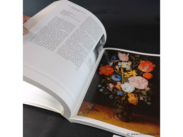 Boek breughel - afbeelding 4 van  5