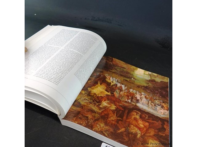 Boek breughel - afbeelding 5 van  5