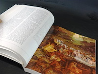 Boek breughel - afbeelding 5 van  5