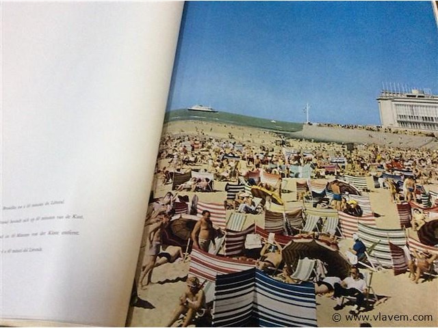 Boek brussel 1550. xl - afbeelding 8 van  9