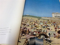 Boek brussel 1550. xl - afbeelding 8 van  9