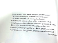 Boek. de grote vlucht - afbeelding 2 van  5