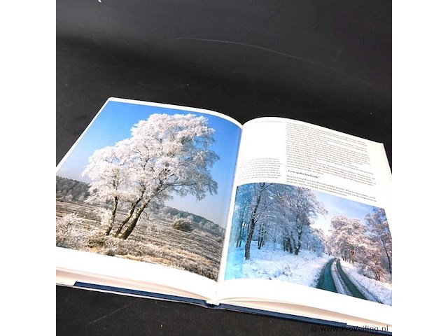 Boek. de grote vlucht - afbeelding 5 van  5