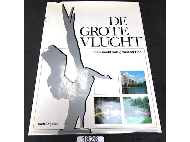 Boek. de grote vlucht - afbeelding 1 van  5