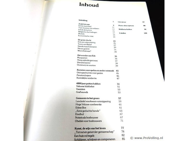 Boek. de grote vlucht - afbeelding 3 van  5