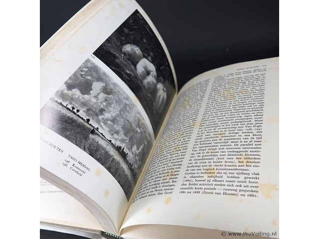 Boek. de haagse school - afbeelding 4 van  5