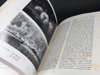 Boek. de haagse school - afbeelding 4 van  5