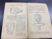 Boek: de vlaamse keukenmeid - afbeelding 4 van  5