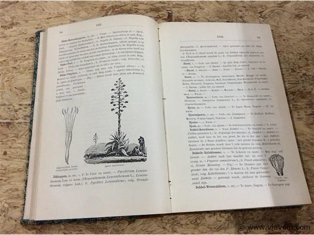 Boek " de vlaamse volksnamen der planten " 1896 - afbeelding 2 van  2