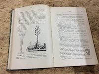 Boek " de vlaamse volksnamen der planten " 1896 - afbeelding 2 van  2