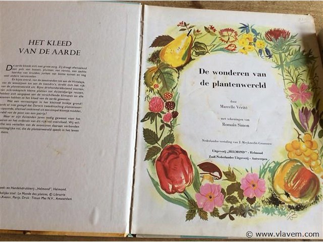 Boek : divers de natuur / planten - afbeelding 2 van  4