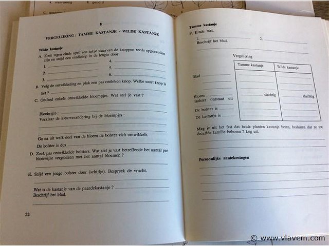 Boek : herbarium - afbeelding 3 van  3