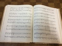 Boek : het volksleven in het straatlied - afbeelding 5 van  6