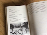 Boek: hitler in belgië - afbeelding 4 van  5