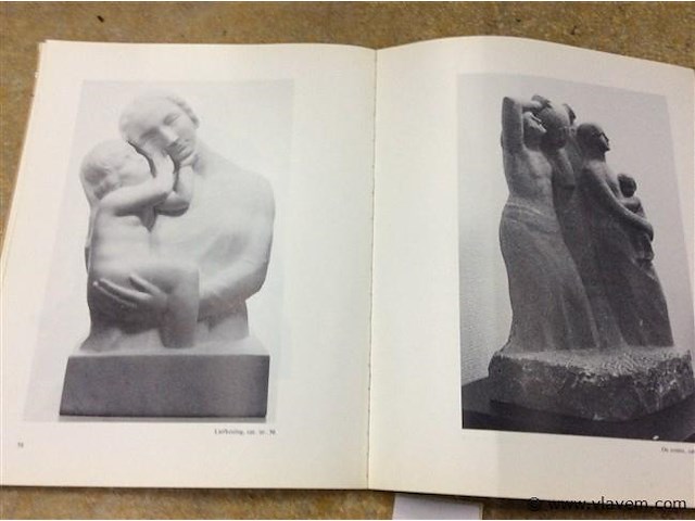 Boek leon sarteel - afbeelding 4 van  5