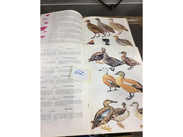 Boek vogels 2stuks - afbeelding 2 van  2