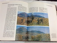 Boek ww2 - afbeelding 4 van  4