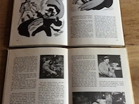 Boek: zorro 2stuks - afbeelding 3 van  3