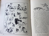 Boek zwart op wit - afbeelding 4 van  5