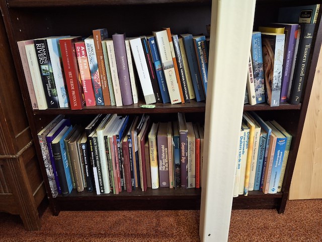 Boeken, 2 schappen vol, foto kan wat afwijken - afbeelding 3 van  3