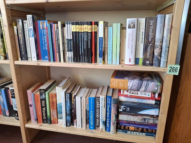 Boeken, 2 schappen vol, foto kan wat afwijken - afbeelding 3 van  3