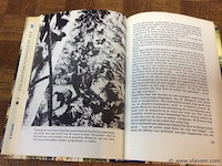 Boeken : 2stuks - afbeelding 3 van  4