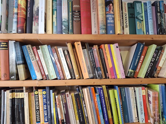 Boeken, 3 schappen vol, foto kan wat afwijken - afbeelding 2 van  3