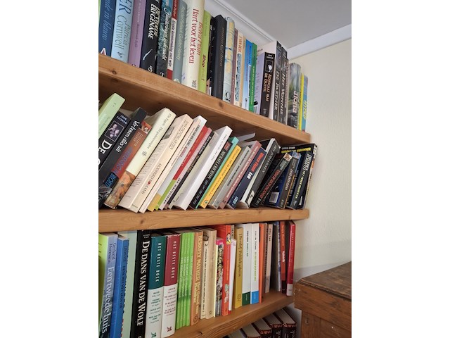 Boeken, 3 schappen vol, foto kan wat afwijken - afbeelding 2 van  3