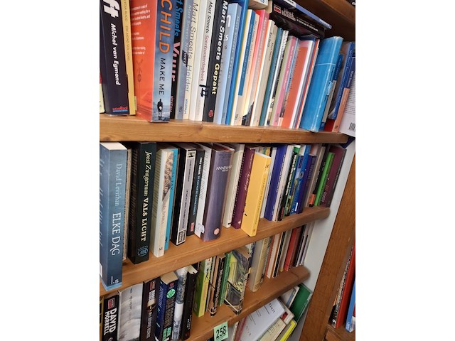 Boeken, 3 schappen vol, foto kan wat afwijken - afbeelding 2 van  3