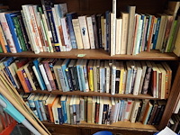 Boeken, 3 schappen vol, foto kan wat afwijken - afbeelding 2 van  3