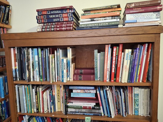 Boeken, 3 schappen vol, foto kan wat afwijken - afbeelding 1 van  3