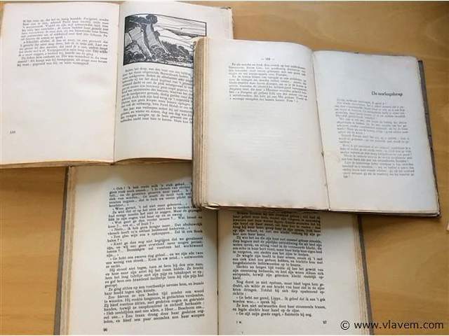 Boeken 3st vlaamse schrijvers - afbeelding 2 van  2