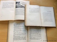 Boeken 3st vlaamse schrijvers - afbeelding 2 van  2