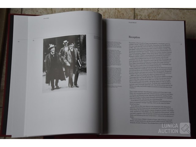 Boeken "7e symphonie mahler" - afbeelding 8 van  19