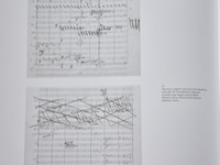 Boeken "7e symphonie mahler" - afbeelding 10 van  19