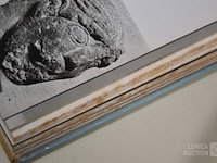 Boeken collectie zodiaque - afbeelding 8 van  32