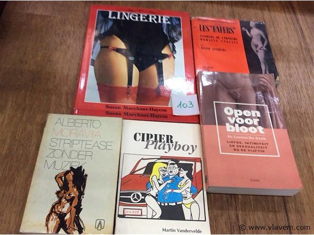 Boeken erotica - afbeelding 1 van  3