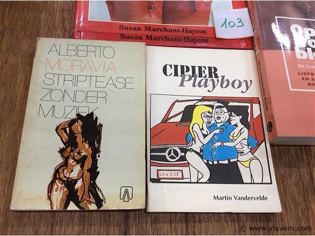Boeken erotica - afbeelding 2 van  3