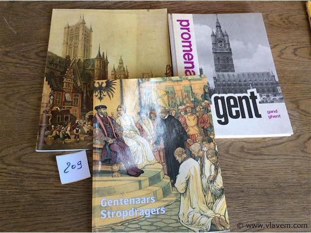 Boeken gent divers 3stuks - afbeelding 1 van  2