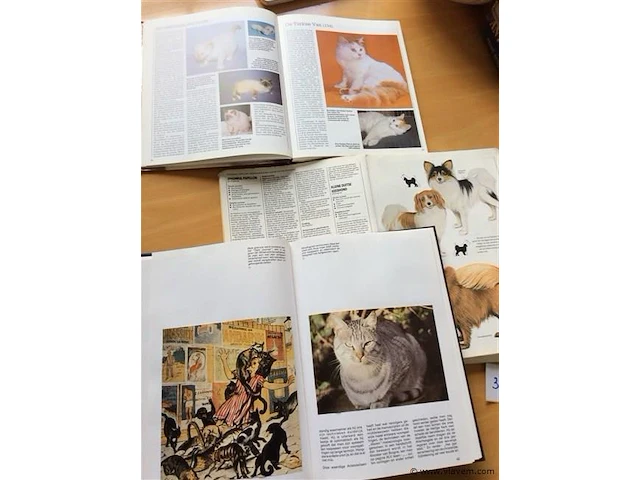 Boeken katten/hond 3st - afbeelding 2 van  2