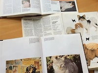 Boeken katten/hond 3st - afbeelding 2 van  2